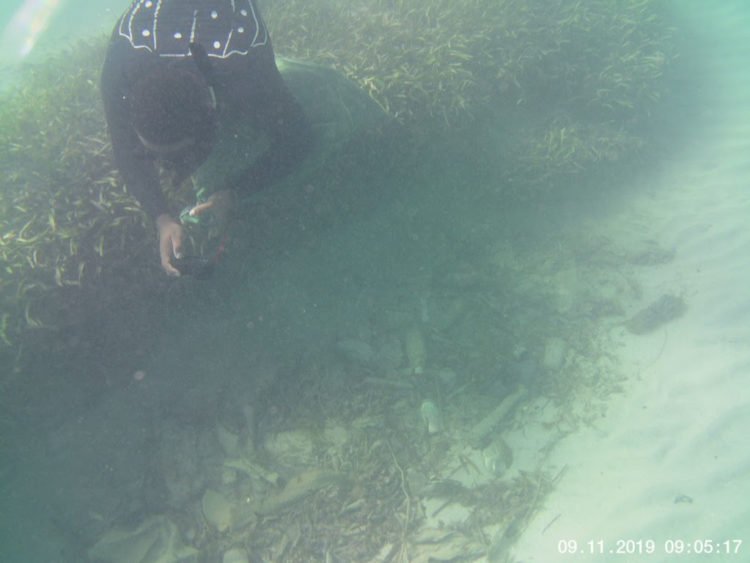 VOLUNTEERS TEAM UP TO CLEANUP COCKLESHELL BEACH ON SOUTHEAST PENINSULA