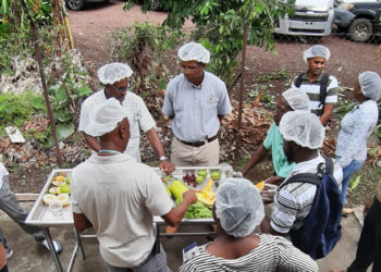 Grenada fresh produce inspectors strengthened their capacity to conduct inspection work