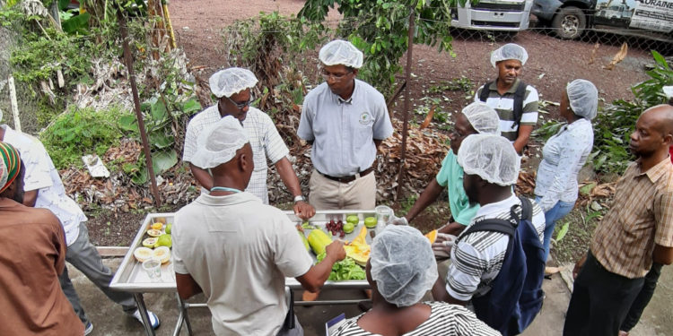 Grenada fresh produce inspectors strengthened their capacity to conduct inspection work
