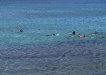 VOLUNTEERS INCLUDING REEF GUARDIANS CLEAN UP FRIARS BAY