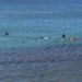 VOLUNTEERS INCLUDING REEF GUARDIANS CLEAN UP FRIARS BAY
