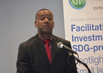 PROMOTING INVESTMENT IN SUSTAINABLE DEVELOPMENT GOALS FOR SMALL ISLAND DEVELOPING STATES