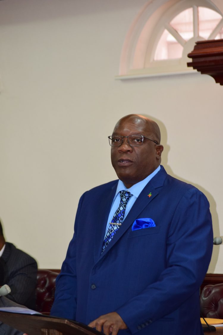 GOVERNMENT PROJECTS 2.9 PERCENT ECONOMIC GROWTH IN ST. KITTS-NEVIS FOR 2019