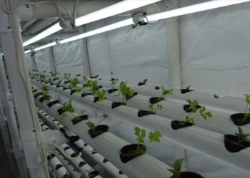 THE DEPARTMENT OF AGRICULTURE TO IMPLEMENT CLIMATE SMART AGRICULTURAL PRACTICES