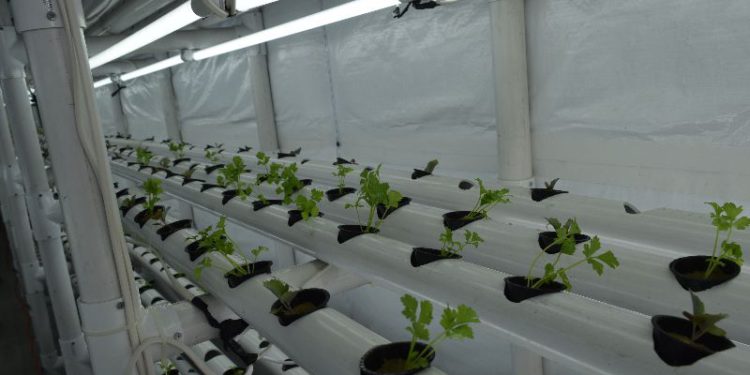 THE DEPARTMENT OF AGRICULTURE TO IMPLEMENT CLIMATE SMART AGRICULTURAL PRACTICES