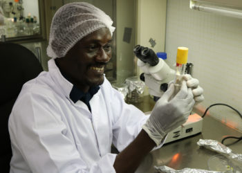 IICA supports capacity building of Technicians in Saint Lucia for control of the Citrus Greening Disease