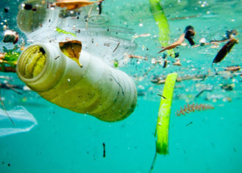 ST. KITTS-NEVIS GOVERNMENT CONSIDERS BAN OF SINGLE USE PLASTICS