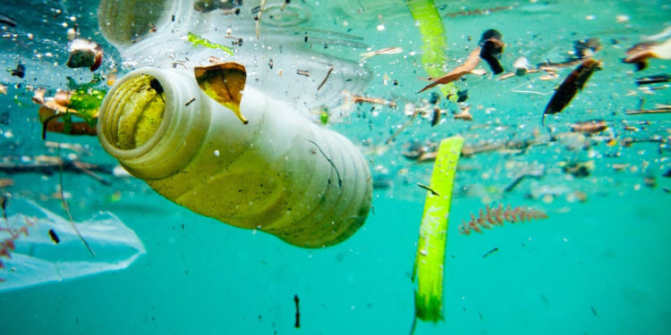 ST. KITTS-NEVIS GOVERNMENT CONSIDERS BAN OF SINGLE USE PLASTICS