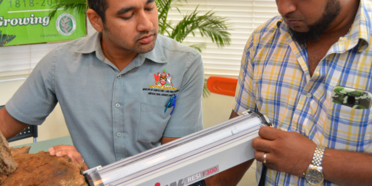 Trinidad and Tobago enhances its agricultural risk management with the support of IICA