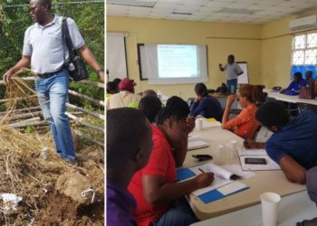 Jamaica get to know on economic opportunities from managing organic waste