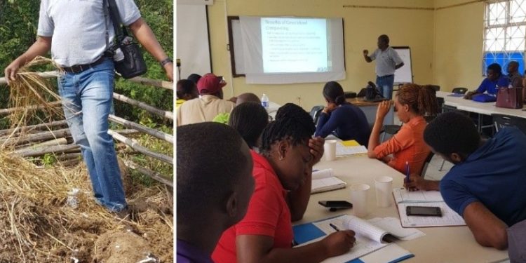 Jamaica get to know on economic opportunities from managing organic waste