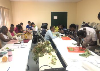 Department of Agriculture (National Plant Pathology Diagnostics Training)