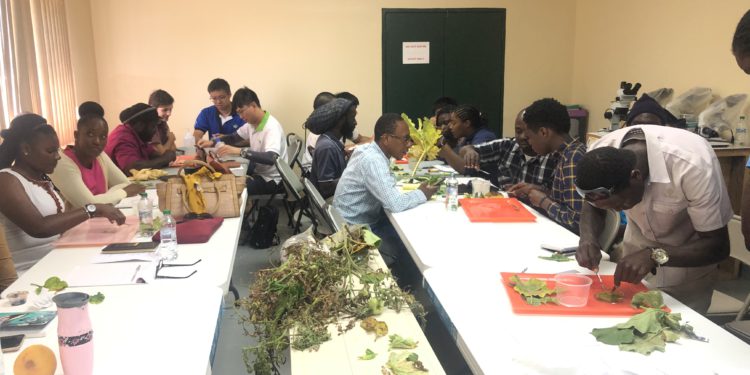 Department of Agriculture (National Plant Pathology Diagnostics Training)