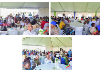 MINISTER PHIPPS ENCOURAGES OLDER PERSONS TO REFLECT ON THEIR LIVES AND TIMES AT NATIONAL ELDERLY LUNCHEON