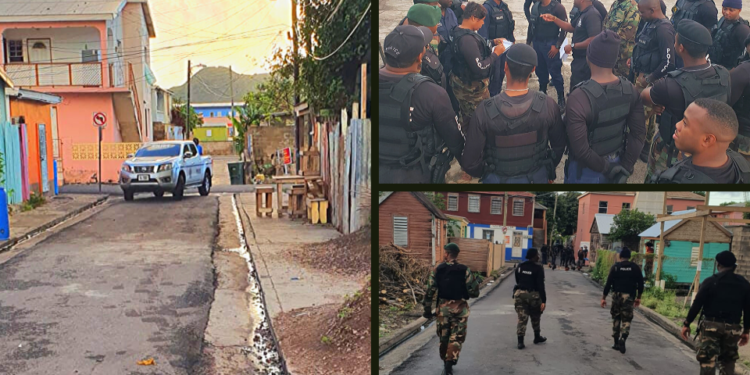 TACTICAL UNITS CONDUCTED THOUSANDS OF SEARCHES IN 2019