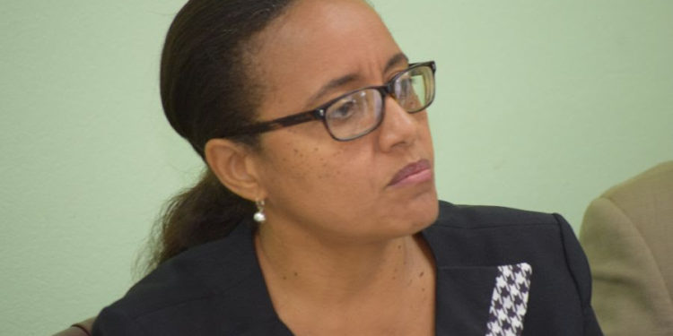 CARICOM HEADS OF GOVERNMENT MEETING HELD TO DISCUSS MITIGATING  THE SPREAD OF COVID-19 ON KEY SECTORS, SUCH AS TOURISM