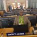 St. Kitts and Nevis Participates in the Preparation of a Landmark New UN Biodiversity Framework