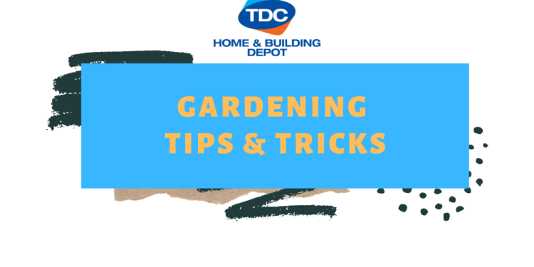 At Home Gardening Tips and Tricks