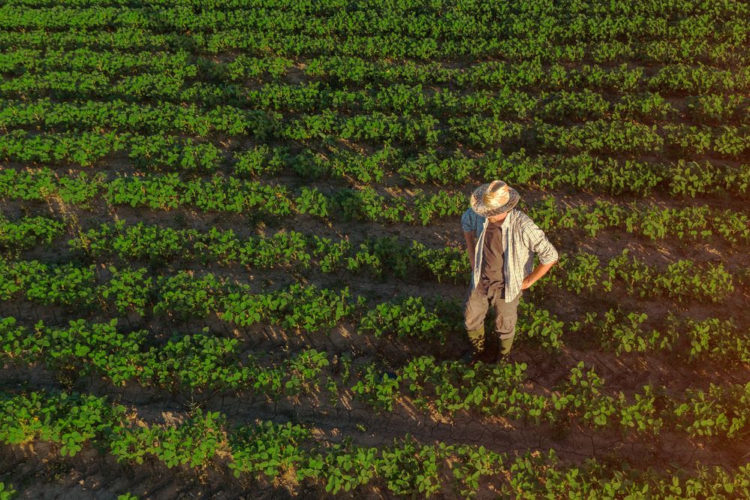 Farm