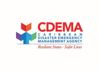 DEMA and the UN convene Caribbean Partner Donor Group Meeting amid COVID-19 crisis   
