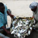 FISHERFOLK AND FARMERS TO BE ALLOWED TO ENGAGE IN THEIR TRADE DURING PARTIAL CURFEW DAYS