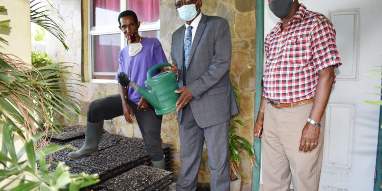 Agriculture Minister Hamilton optimistic agriculture production will increase in 2020