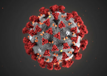 18 OF 19 CONFIRMED CASES OF CORONAVIRUS IN ST. KITTS & NEVIS RECOVERED