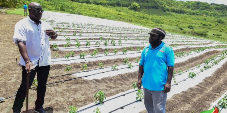 URGENT REFORMS NEEDED TO CAPITALIZE ON AGRICULTURAL ECONOMIC POTENT