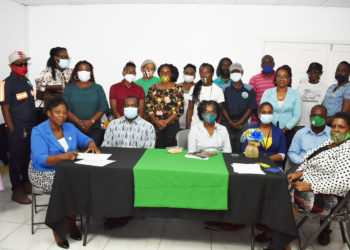 Food Security: IICA provides twenty grow boxes to backyard farmers on Nevis