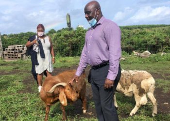 MINISTER OF AGRICULTURE THANKS ROSS UNIVERSITY FOR ITS CONTINUED PARTNERSHIP WITH ST. KITTS AND NEVIS