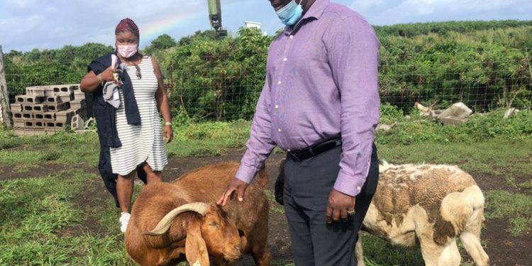 MINISTER OF AGRICULTURE THANKS ROSS UNIVERSITY FOR ITS CONTINUED PARTNERSHIP WITH ST. KITTS AND NEVIS