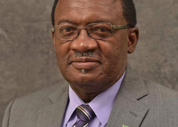 National Address for International Day for the Elimination of Violence against Women by Hon. Eugene Hamilton, Minister of Gender Affairs