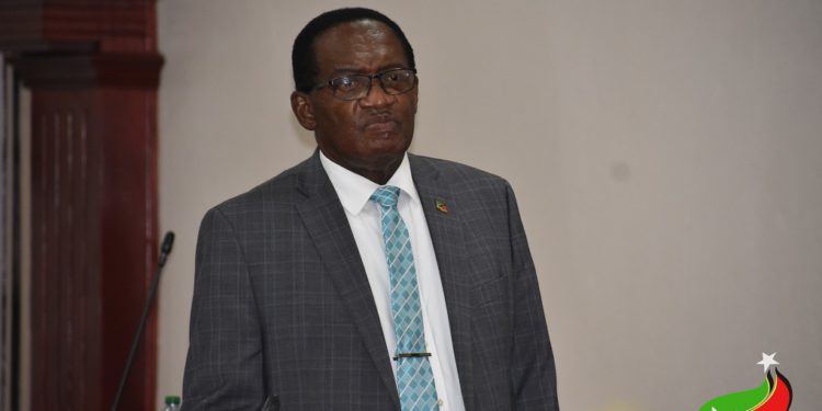 THE DEPARTMENT OF GENDER AFFAIRS HAD SOME SUCCESSES IN 2020 DESPITE THE ONGOING COVID-19 PANDEMIC, SAYS MINISTER HAMILTON