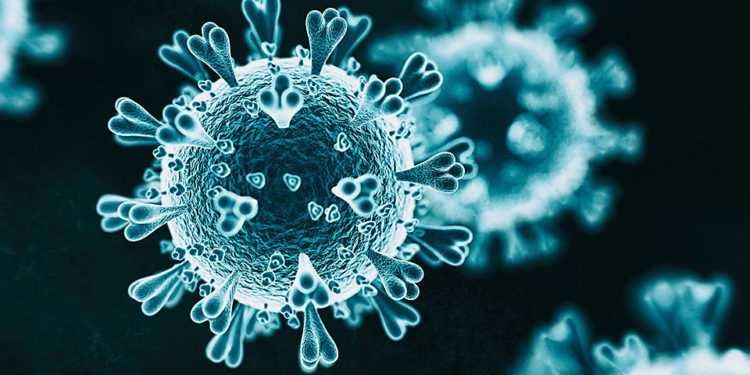 ST. KITTS & NEVIS RECORDS TWO NEW CASES OF COVID-19 BRINGING TOTAL CONFIRMED CASES TO 30: 24 RECOVERED AND SIX ACTIVE