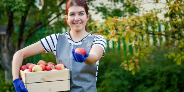 IICA launches the 2021 edition of its virtual course to strengthen the capacities of agrifood exporters