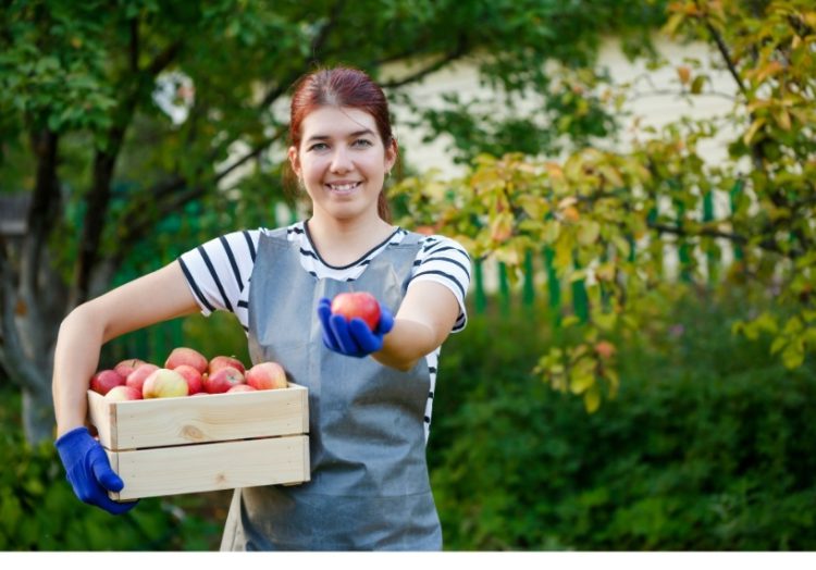 IICA launches the 2021 edition of its virtual course to strengthen the capacities of agrifood exporters