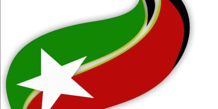 SKNIS 2020 YEAR IN REVIEW