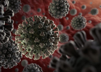 CHIEF MEDICAL OFFICER REPORTS ON NEW VARIANT STRAIN OF THE SARS-COV-2