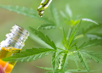 CABINET APPROVES FORMATION OF BOARD TO GIVE DIRECTION TO THE MEDICINAL CANNABIS AUTHORITY