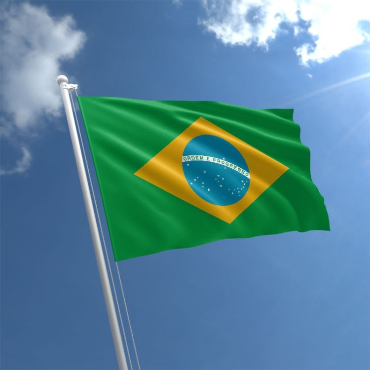OAS Scholarships available to study in Brazil