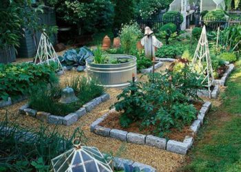 SEVERAL BENEFITS TO BE DERIVED FROM BACKYARD GARDENING