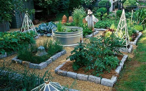 SEVERAL BENEFITS TO BE DERIVED FROM BACKYARD GARDENING