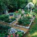 SEVERAL BENEFITS TO BE DERIVED FROM BACKYARD GARDENING