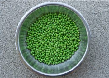 World Pulses Day – 10 February:  The importance of Pulses or legumes in the new COVID-19 Era