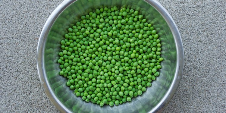 World Pulses Day – 10 February:  The importance of Pulses or legumes in the new COVID-19 Era