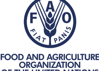 Global fisheries and aquaculture hard hit by COVID-19 pandemic, says FAO report