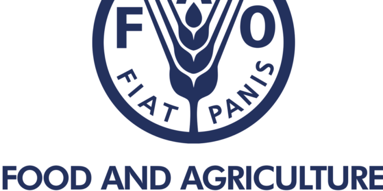 Global fisheries and aquaculture hard hit by COVID-19 pandemic, says FAO report