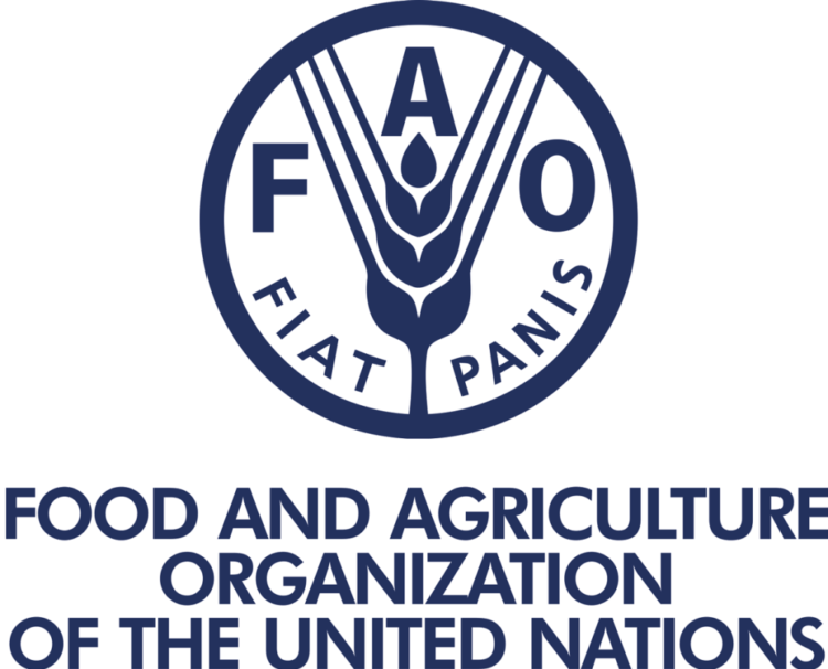 Global fisheries and aquaculture hard hit by COVID-19 pandemic, says FAO report