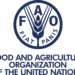 Global fisheries and aquaculture hard hit by COVID-19 pandemic, says FAO report
