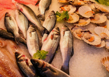 OECS High-Level WTO Fisheries Workshop